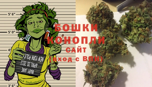 каннабис Каменногорск