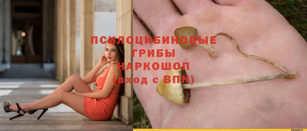 каннабис Каменногорск