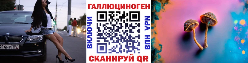 Купить где  Гвардейск  Псилоцибиновые грибы Psilocybine cubensis 